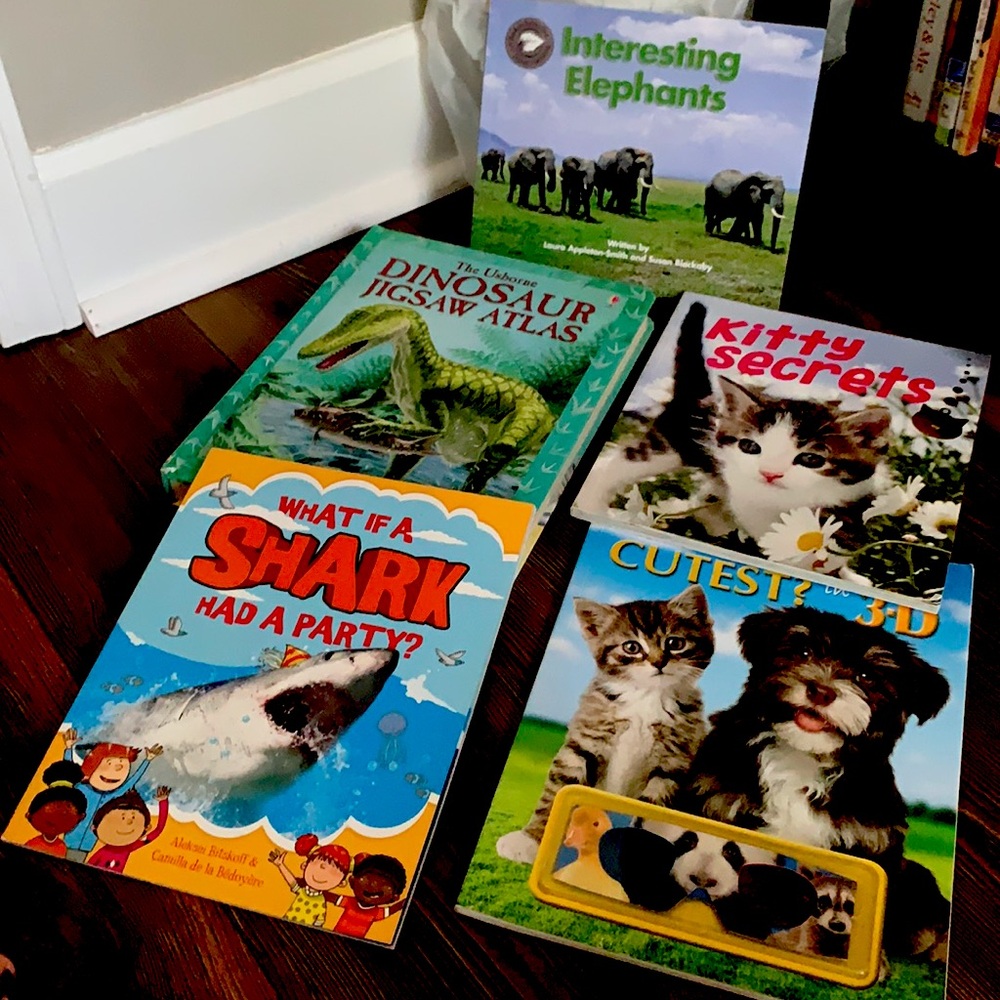 5 kid books bundle learning books puzzle & 3D